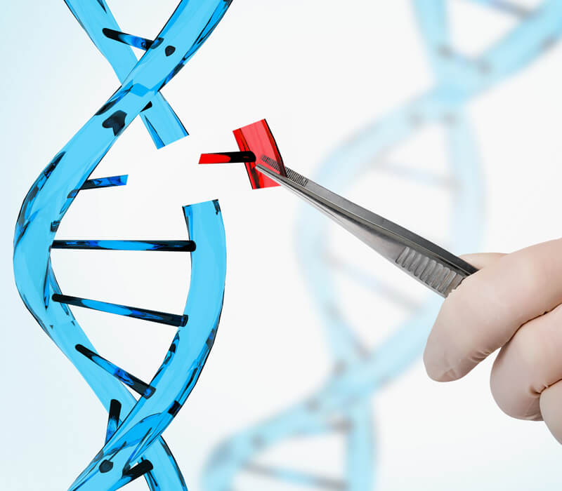 Genome Editing